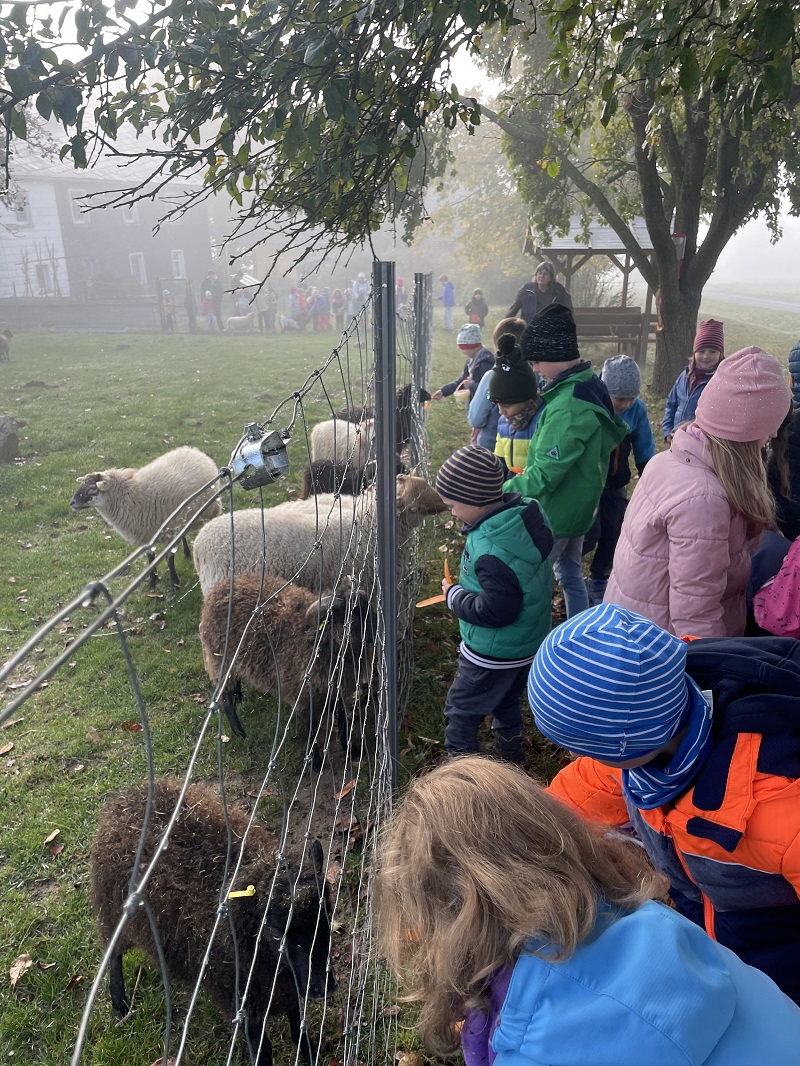 wandertag6
